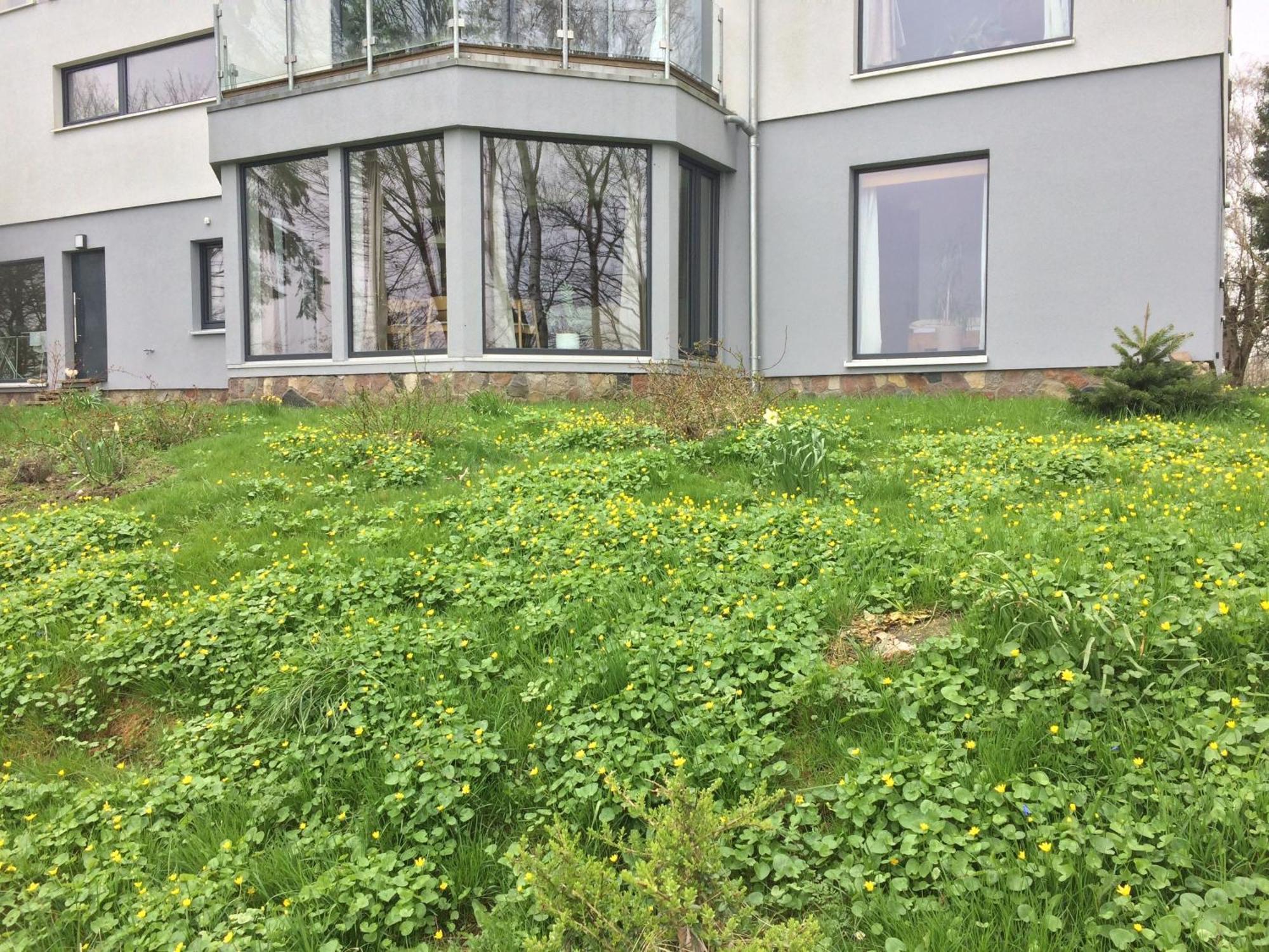 Beltblick Apartment Fehmarn Exterior photo